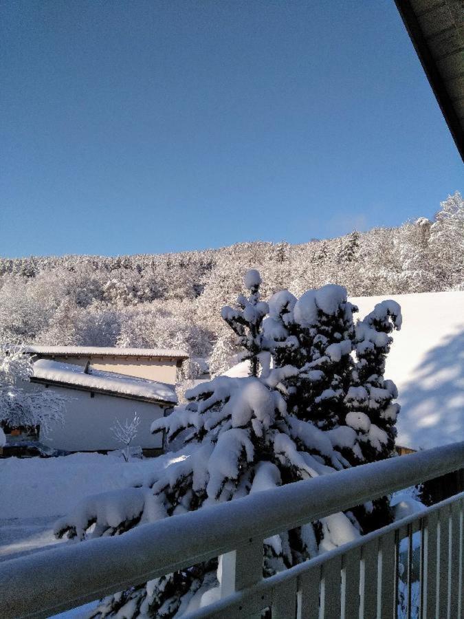 Ferienwohnung Pietzavka Wiesenfelden Экстерьер фото
