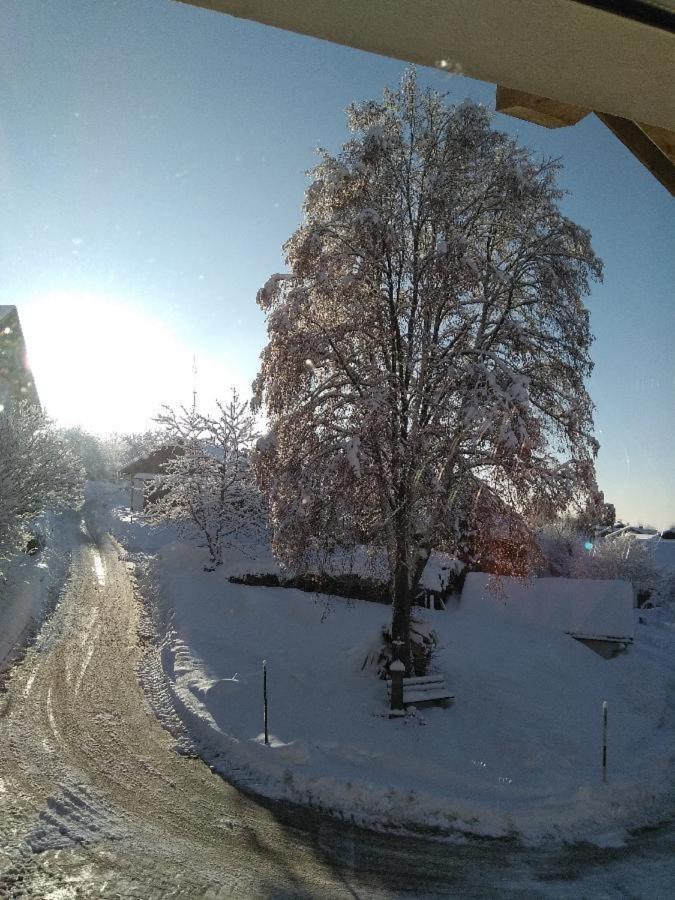 Ferienwohnung Pietzavka Wiesenfelden Экстерьер фото