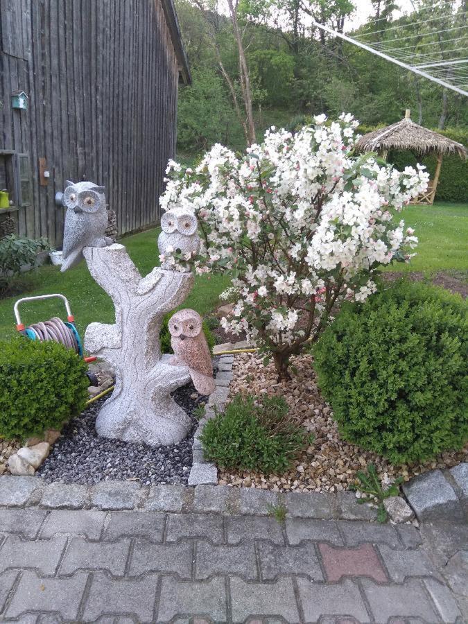 Ferienwohnung Pietzavka Wiesenfelden Экстерьер фото